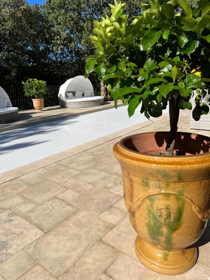 La Casa Dei Sogni Bed & Breakfast Flayosc Dış mekan fotoğraf